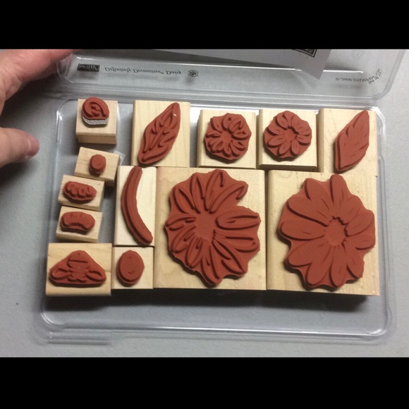 STAMPIN’ UP Definitely Decorative Daisy - Picture 2 of 3